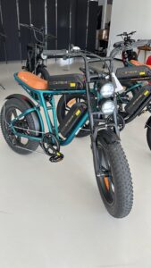 elektrische fatbike kopen